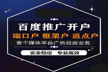 百度竞价排名服务助力：某品牌迅速占领市场